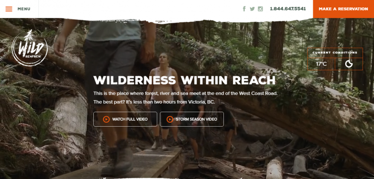 wildrenfrew web design