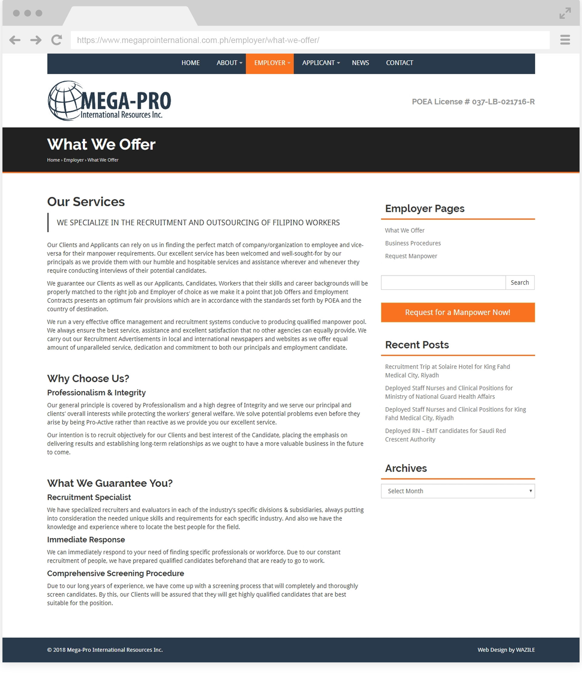 Mega-Pro International What We Offer